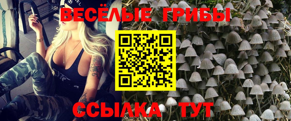 Псилоцибиновые грибы Cubensis  как найти наркотики  Кубинка  Вход с VPN 